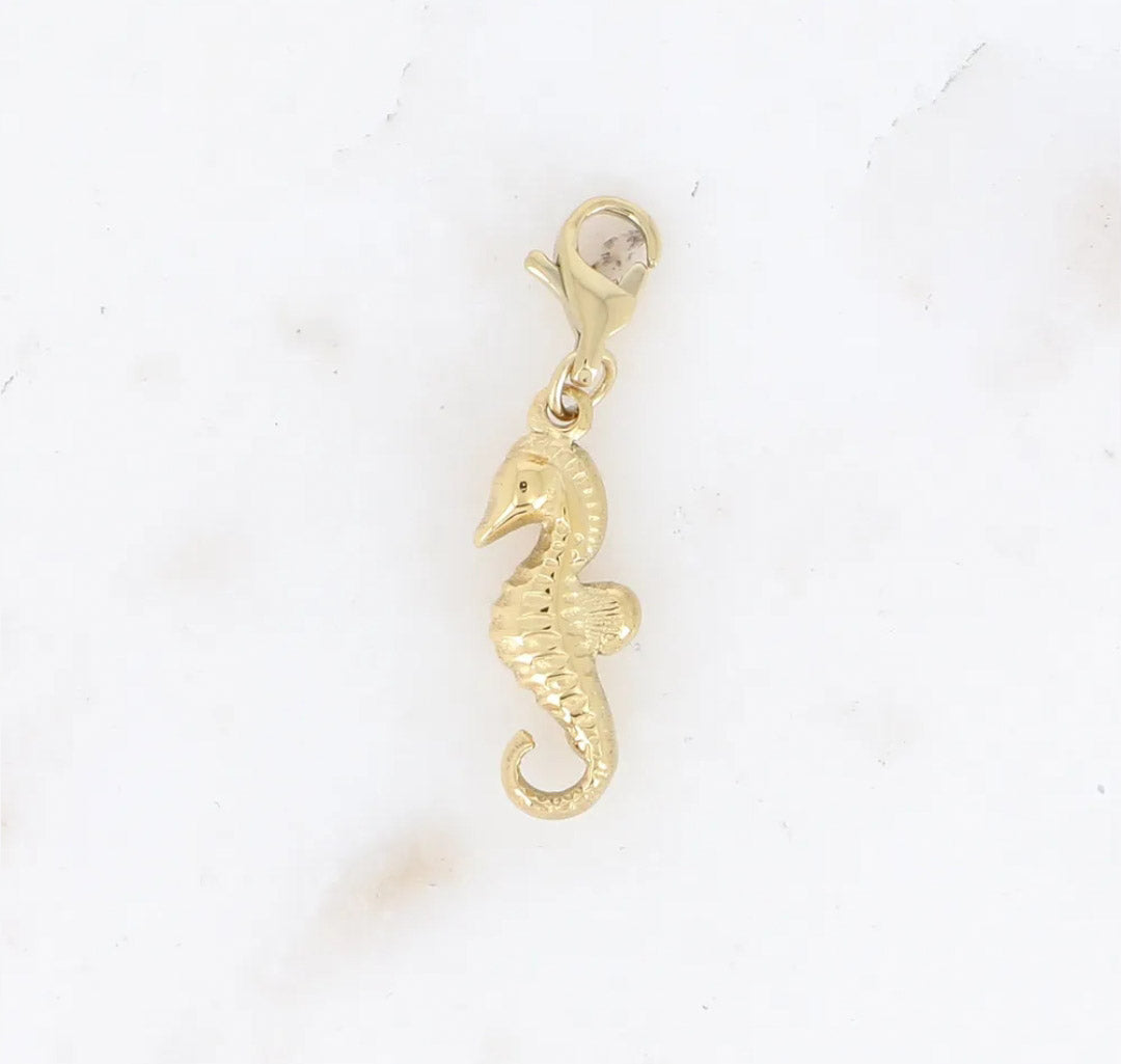 Le charm HIPPOCAMPE