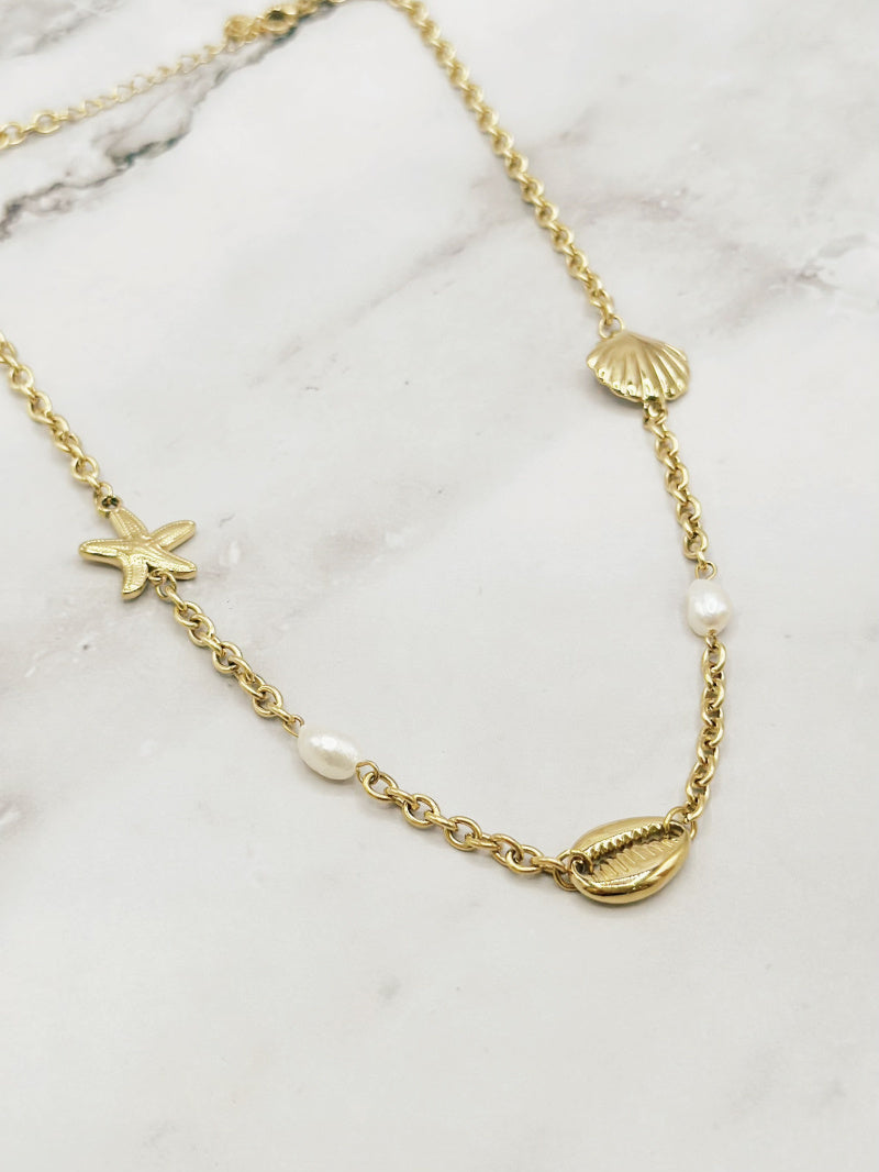Le collier court coquillage et crustacé