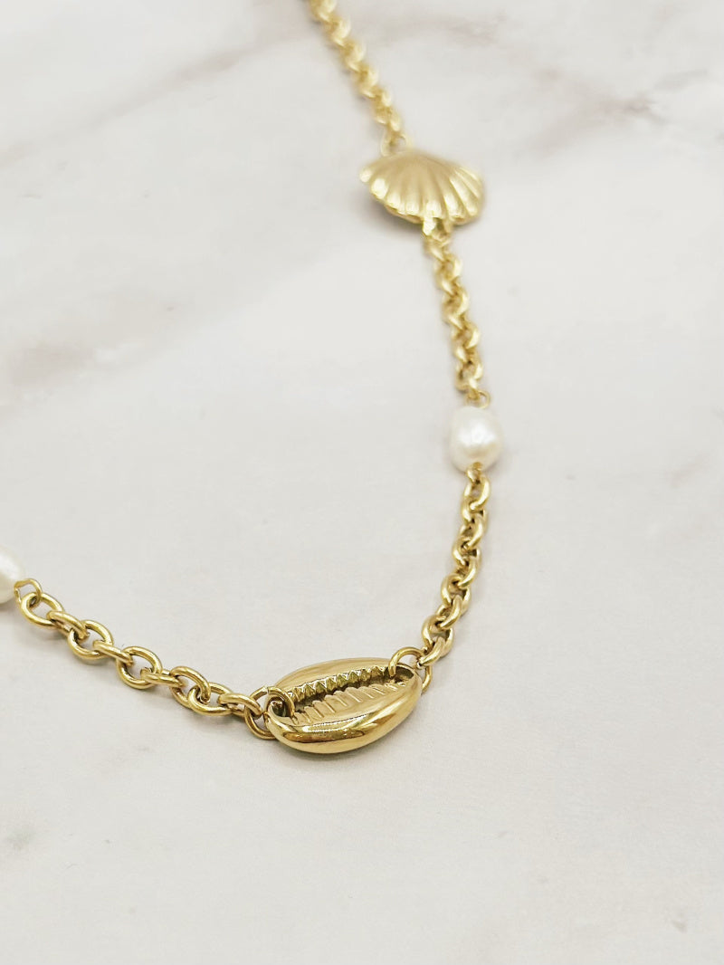 Le collier court coquillage et crustacé