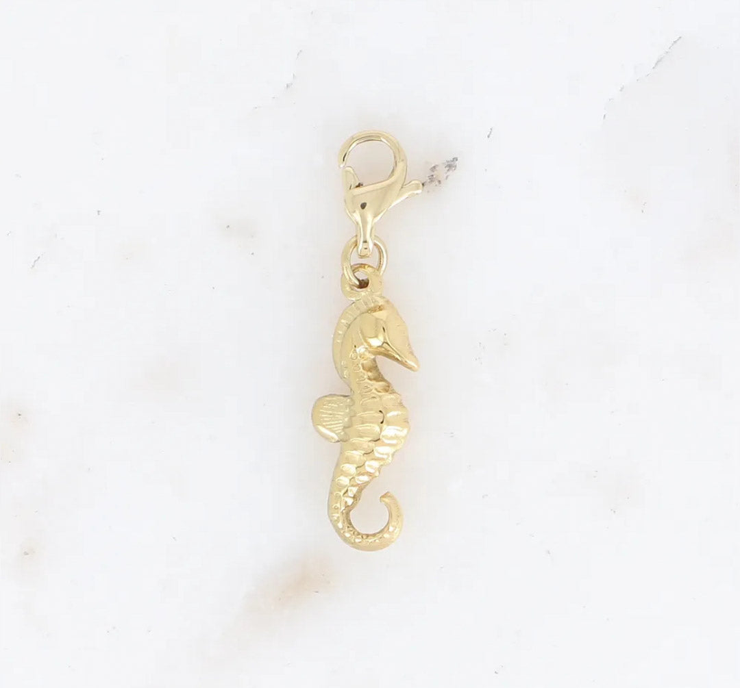 Le charm HIPPOCAMPE