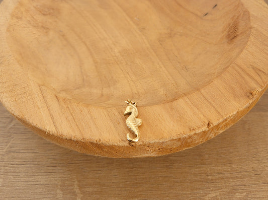 Le charm HIPPOCAMPE