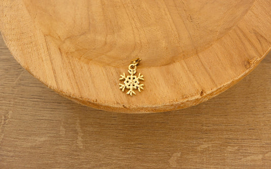 Le charm FLOCON DE NEIGE
